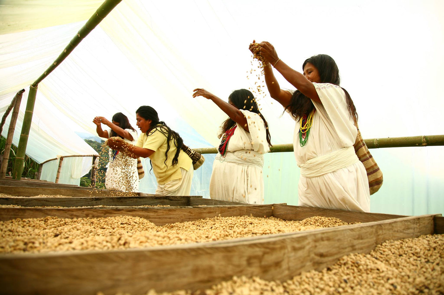 Café d’Éole - Colombie 500g
