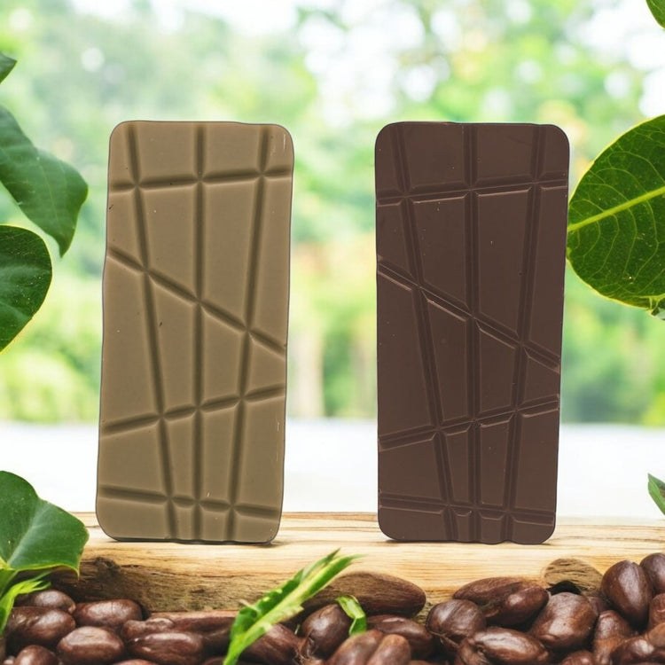 cabosse de cacao