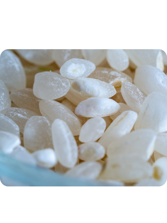 Riz Rond Carolino - 5kg