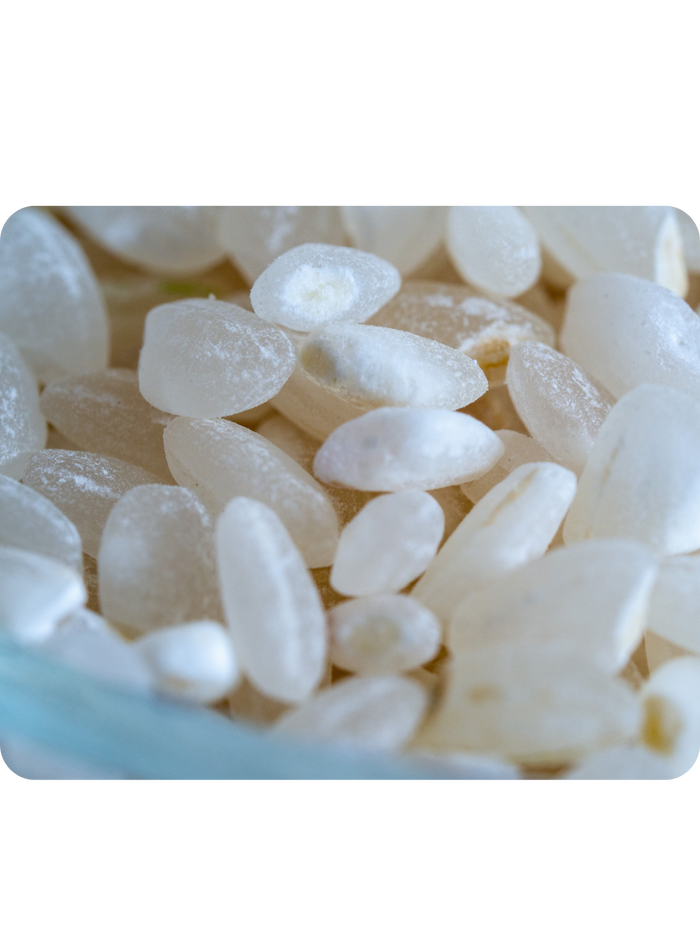 Riz Rond Carolino - 5kg