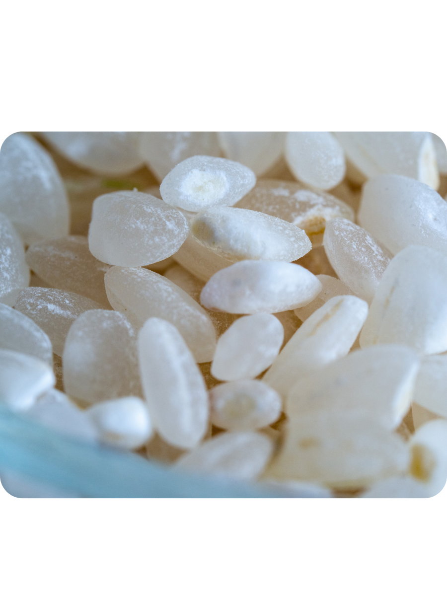 Riz Rond Carolino - 5kg