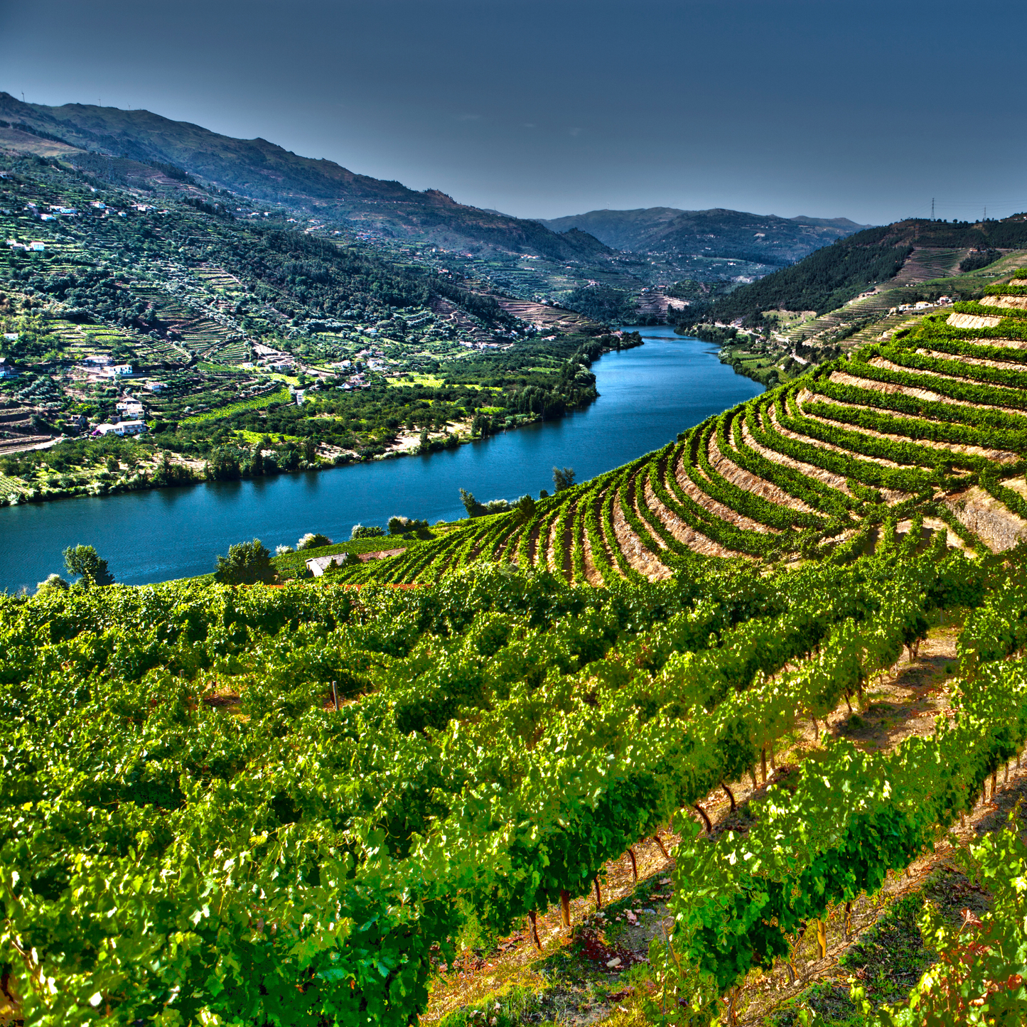 Porto 10 ans – Rozès “Infanta Isabel”