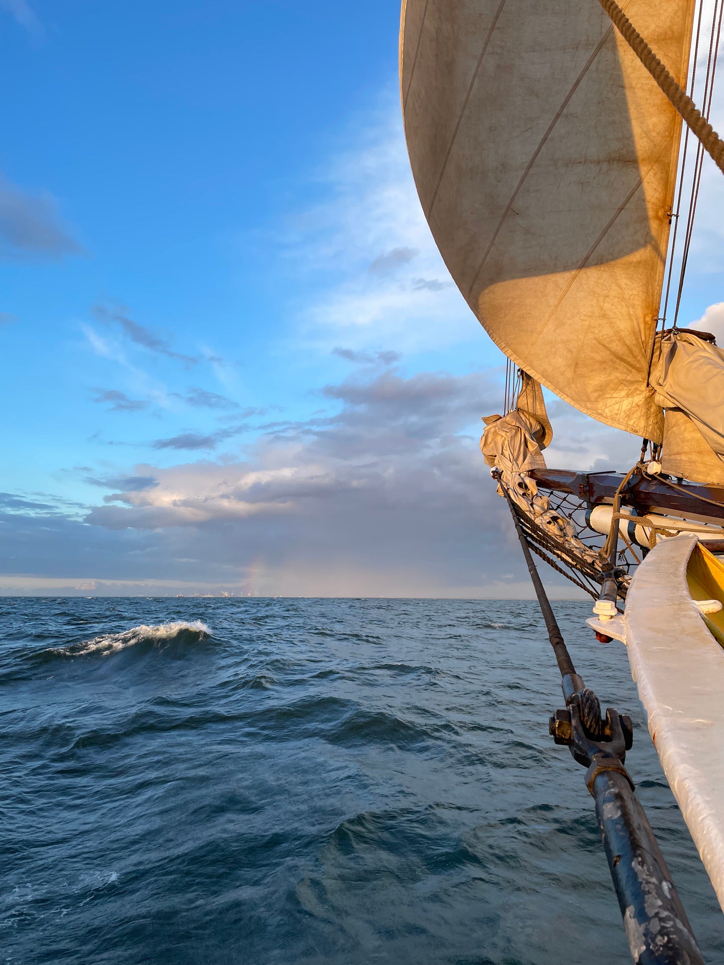 Curcuma Bio en tube - Guadeloupe, séché au soleil