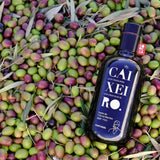 Huile d’Olive Bio CAIXEIRO – 0,5 L