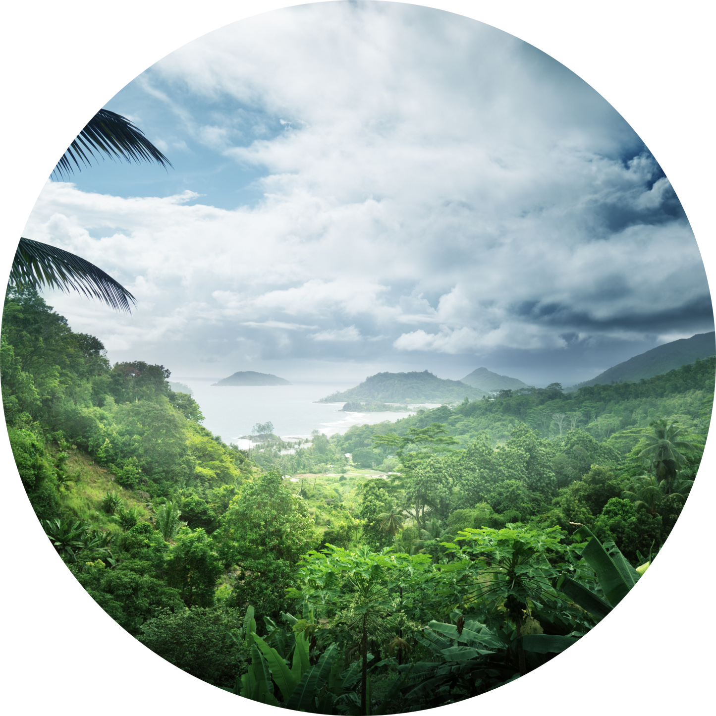 Panela d'Éole, organic raw cane sugar, Colombia, 500g