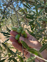 Huile d’Olive Bio 5L, Récolte Artisanale Portugal