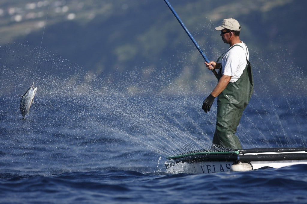 Filet de thon des Açores – Gourmet – Bio Nature