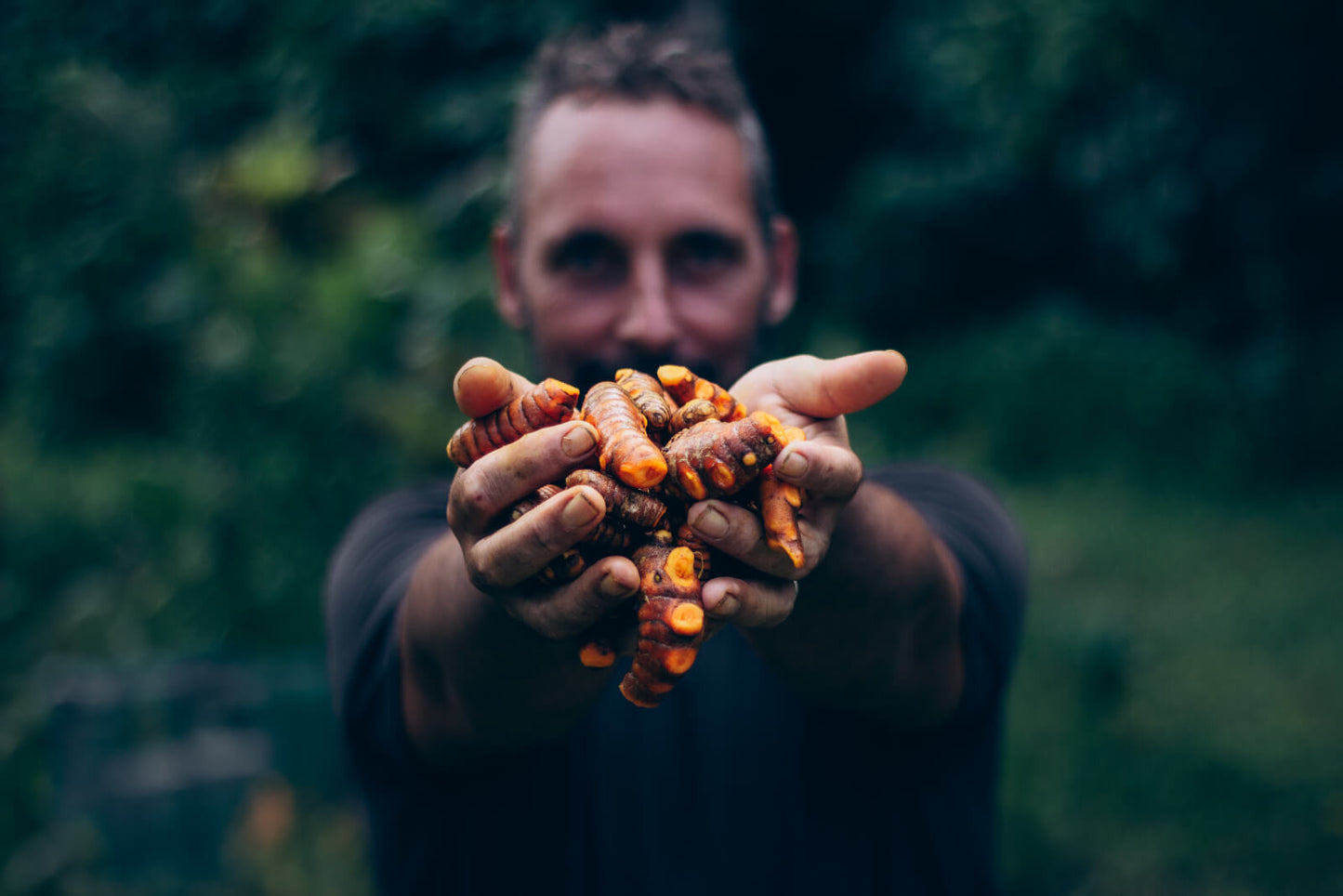 Curcuma Bio en pot - Guadeloupe, séché au soleil