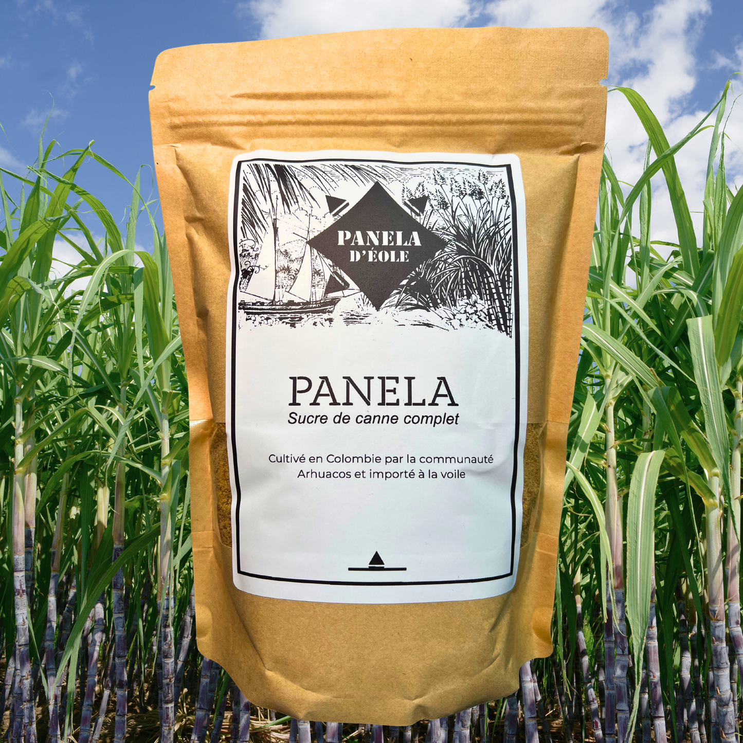 Panela d’Éole, sucre de canne brut bio, Colombie, 500g