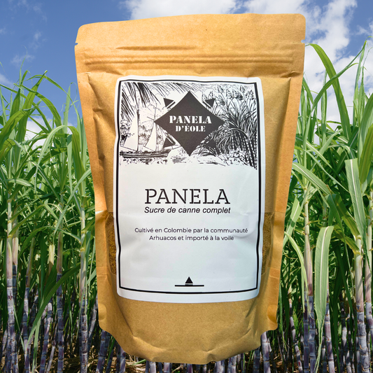 Panela d’Éole, sucre de canne brut bio, Colombie, 500g